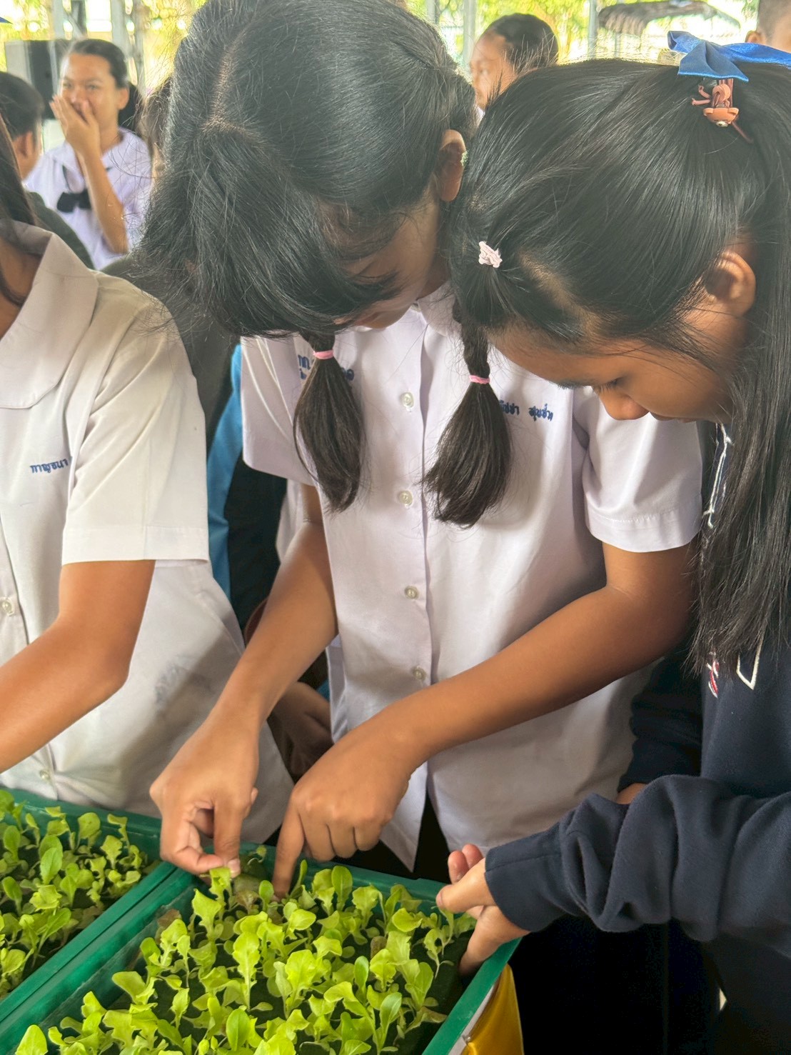title - ส.ป.ก.จันทบุรี ดำเนินการฝึกอบรม โครงการเพิ่มศักยภาพระบบงานเกษตรภายใต้แผนพัฒนาเด็กและเยาวชนในถิ่นทุรกันดาร ตามพระราชดำริ สมเด็จพระเทพรัตนราชสุดาฯ สยามบรมราชกุมารี ประจำปีงบประมาณ พ.ศ. 2569 